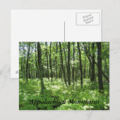 Carte Postale Les Appalaches (Devant / Derrière)