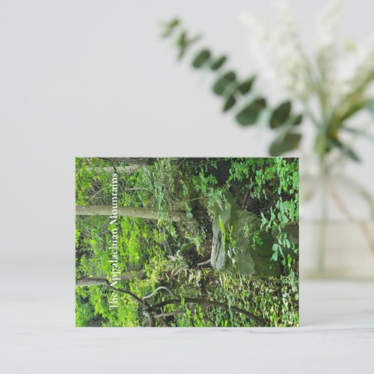 Carte Postale Les Appalaches (Debout devant)