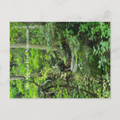 Carte Postale Les Appalaches (Devant)