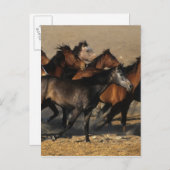 Carte Postale Les Arabes qui courent dans le désert (Devant / Derrière)