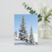 Carte Postale Les arbres à collines (Debout devant)