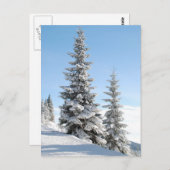 Carte Postale Les arbres à collines (Devant / Derrière)