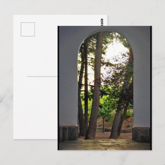Carte Postale Les arbres à travers l'arche (Devant / Derrière)