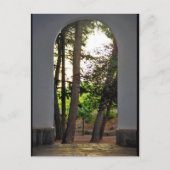 Carte Postale Les arbres à travers l'arche (Devant)