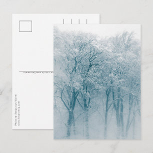 Carte Postale Les arbres couverts de neige La nature hivernale P