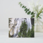 Carte Postale Les arbres des cascades (Debout devant)