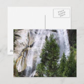 Carte Postale Les arbres des cascades (Devant / Derrière)