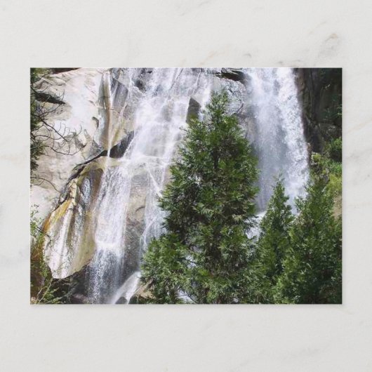 Carte Postale Les arbres des cascades (Devant)