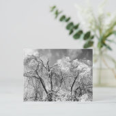 Carte Postale les arbres l'hiver (Debout devant)