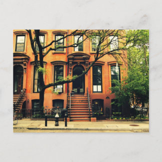 Carte Postale Les arbres poussent à Brooklyn