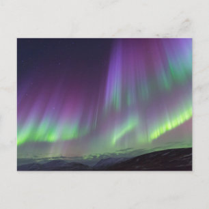 Carte Postale Les Aurores Boréales   Nord de l'Islande