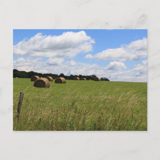 Carte Postale Les balles de l'été 2 (Devant)