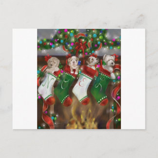 Carte Postale Les Bas Étaient Accrochés