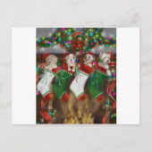 Carte Postale Les Bas Étaient Accrochés (Devant)