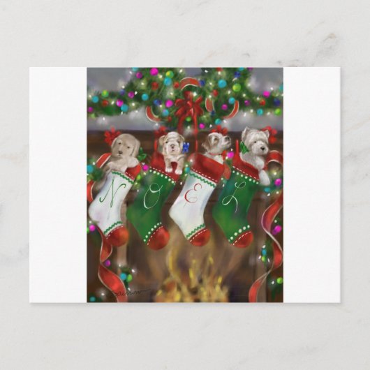 Carte Postale Les Bas Étaient Accrochés (Devant)