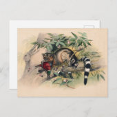 Carte Postale Les Bassaris par Joseph Wolf (Devant / Derrière)