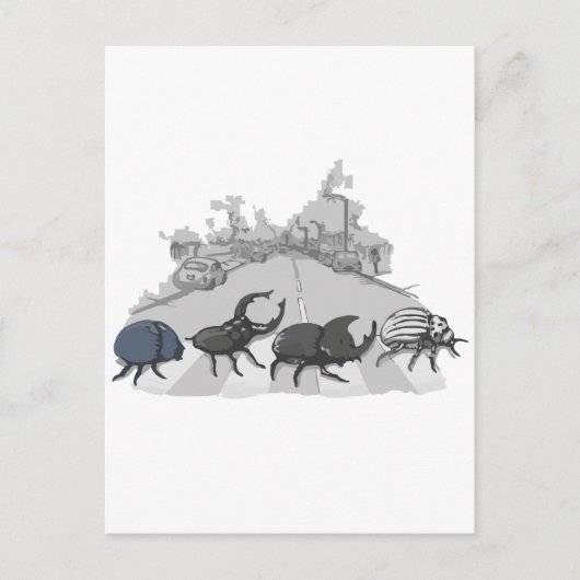 Carte Postale Les Beatles (Devant)