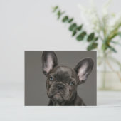 Carte Postale Les bébés animaux les plus mignons | Bouledogue Fr (Debout devant)