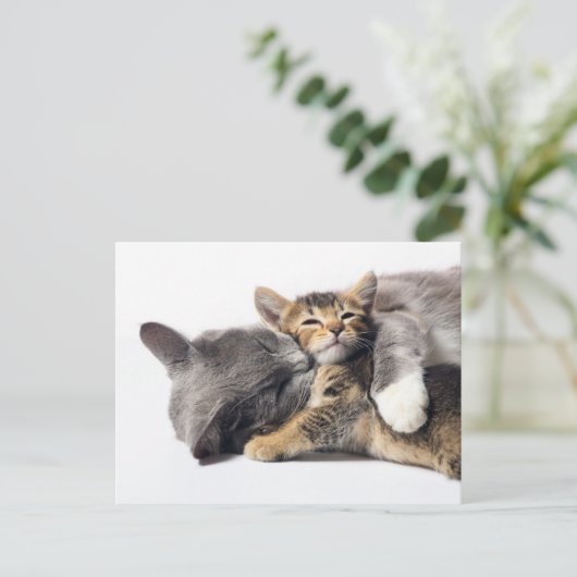 Carte Postale Les bébés animaux les plus mignons | Câlin de chat (Debout devant)