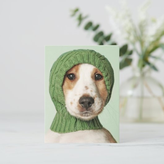 Carte Postale Les bébés animaux les plus mignons | chiot Cocker  (Debout devant)