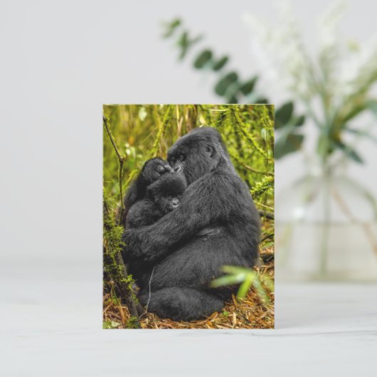 Carte Postale Les bébés animaux les plus mignons | Gorille & Béb (Debout devant)