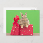 Carte Postale Les bébés animaux les plus mignons | Lapin de Noël (Devant / Derrière)