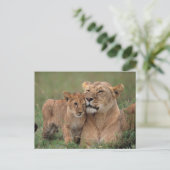 Carte Postale Les bébés animaux les plus mignons | Lionceau & Mè (Debout devant)