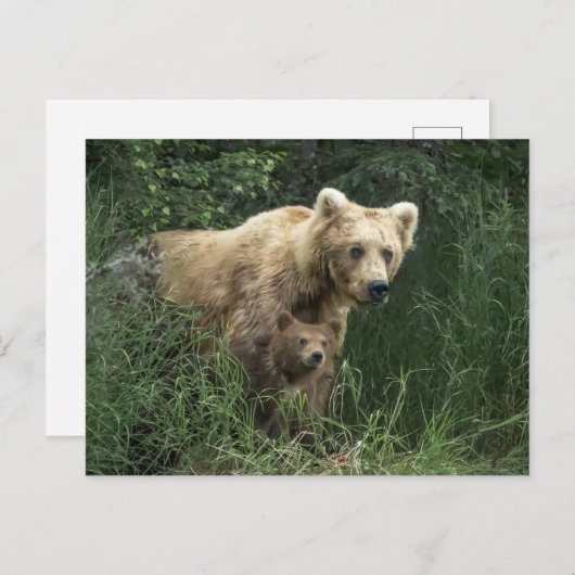Carte Postale Les bébés animaux les plus mignons | Maman ourse e (Devant / Derrière)
