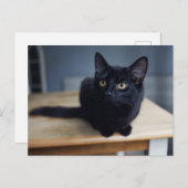 Carte Postale Les bébés animaux les plus mignons | Portrait d'un (Devant / Derrière)