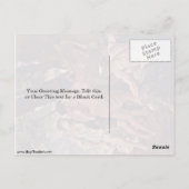 Carte Postale Les Bergers D'Arcadie Par Nicolas Poussin (Dos)