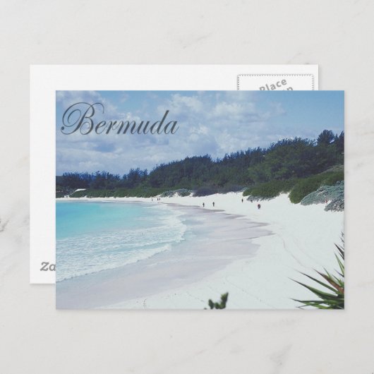 Carte Postale Les Bermudes (Devant / Derrière)