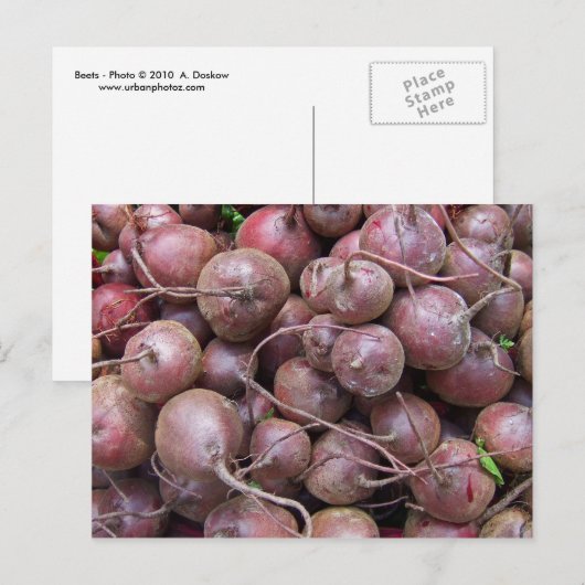 Carte Postale Les betteraves (Devant / Derrière)