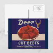 Carte Postale Les betteraves découpées de cerfs des années 1930  (Devant / Derrière)
