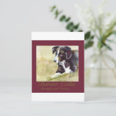 Carte Postale Les Border (Debout devant)