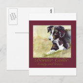 Carte Postale Les Border (Devant / Derrière)