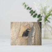 Carte Postale Les boucles le ont Américain cheval bouc (Debout devant)