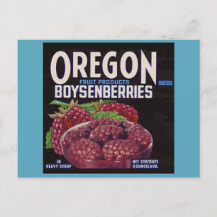 Carte Postale Les Boysenberries de l'Oregon des années 1940 peuv