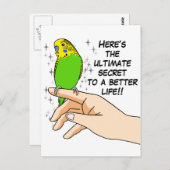 Carte Postale Les budgets rendent la vie meilleure (Devant / Derrière)