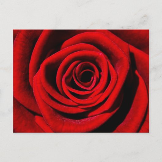 Carte Postale Les cadeaux de Cherie (Devant)