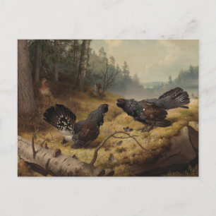 Carte Postale Les capacités de combat de Ferdinand von Wright