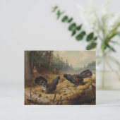 Carte Postale Les capacités de combat de Ferdinand von Wright (Debout devant)