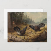 Carte Postale Les capacités de combat de Ferdinand von Wright (Devant / Derrière)