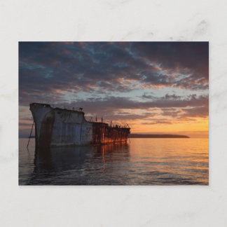 Carte Postale Les carcasses