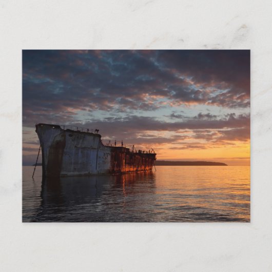 Carte Postale Les carcasses (Devant)