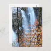 Carte Postale Les cascades (Devant / Derrière)