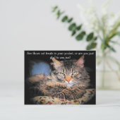 Carte Postale Les cats ? or... (Debout devant)