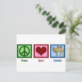 Carte Postale Les chameaux Peace Love (Debout devant)