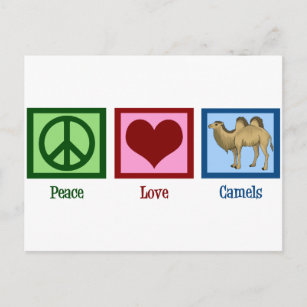 Carte Postale Les chameaux Peace Love