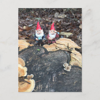 Carte Postale Les champignons