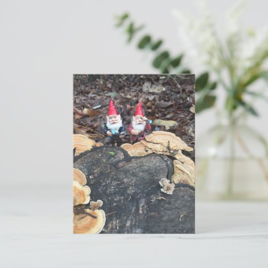 Carte Postale Les champignons (Debout devant)